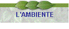 L'AMBIENTE